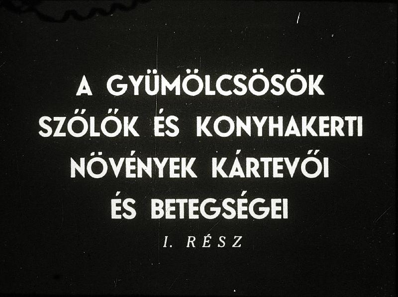 A gyümölcsösök szőlők és konyhakerti növények kártevői és betegségei I.