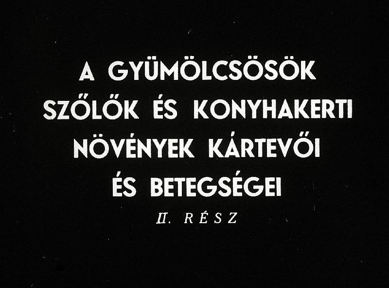 A gyümölcsösök szőlők és konyhakerti növények kártevői és betegségei II..