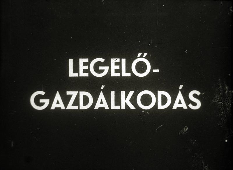 Legelő - gazdálkodás