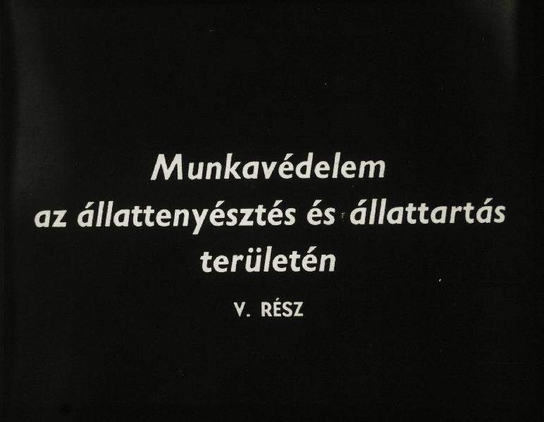 Munkavédelem az állattenyésztés és állattartás területén V.