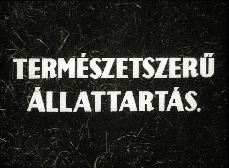 Természetszerű állattartás