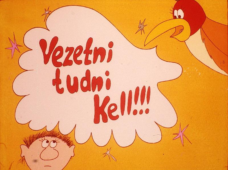 Vezetni tudni kell! IV. : A vezetés általános feladatai