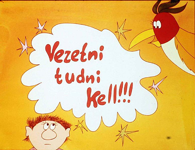Vezetni tudni kell! V. : A szervezés