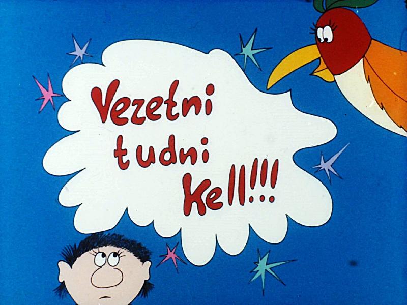 Vezetni tudni kell! VI. : A döntés