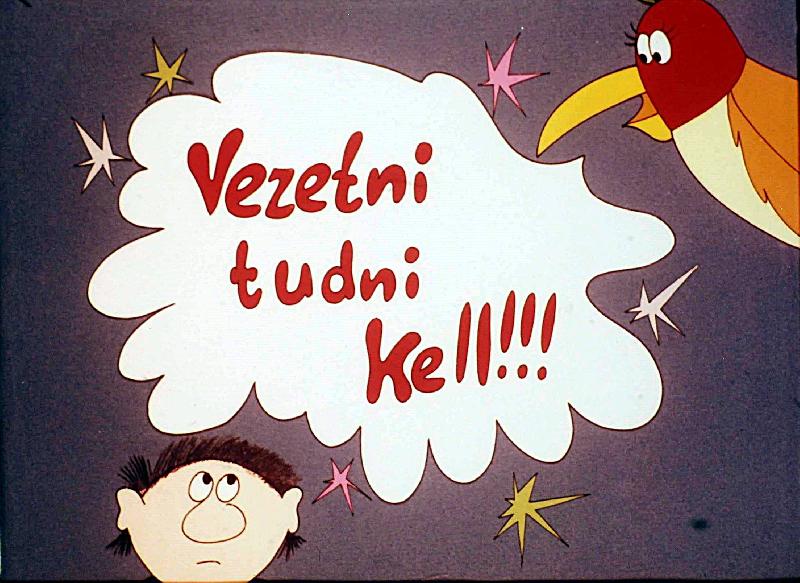 Vezetni tudni kell! VII. : A vezetés folyamata