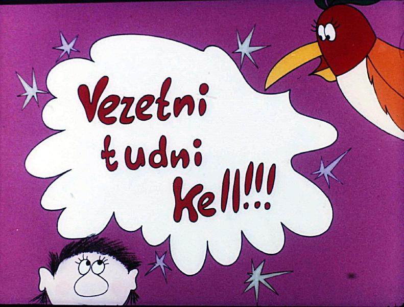 Vezetni tudni kell! VIII. : Az ellenőrzés