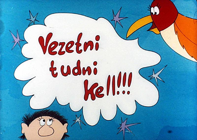 Vezetni tudni kell! IX. : Az értékelés
