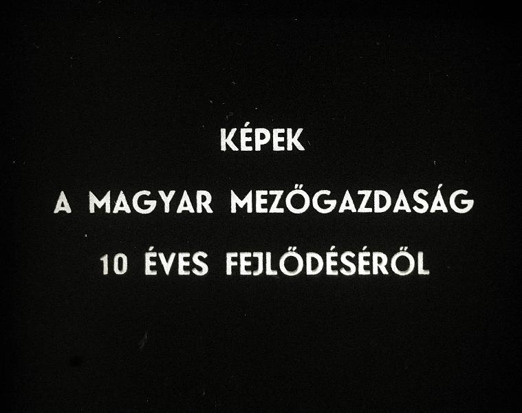 Képek a magyar mezőgazdaság 10 éves fejlődéséről II. rész : Növénytermelés