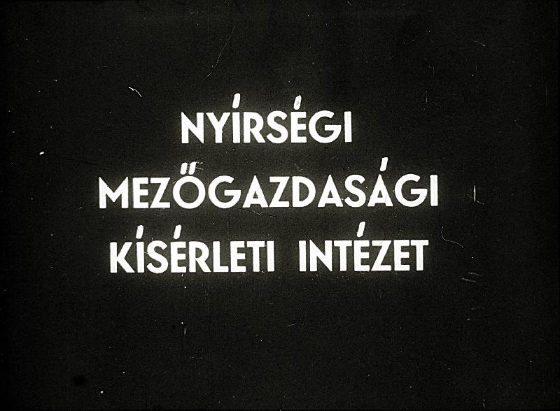 Nyírségi Mezőgazdasági Kísérleti Intézet