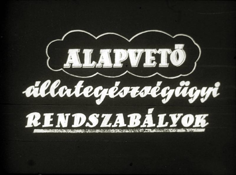 Alapvető állategészségügyi rendszabályok
