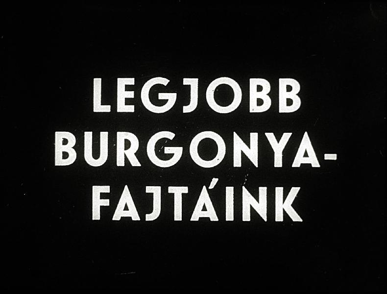 Legjobb burgonyafajtáink
