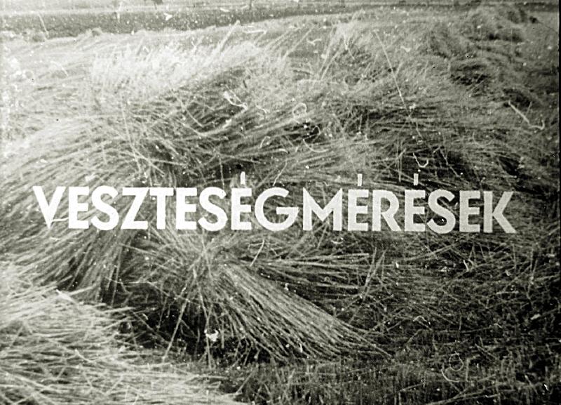 Veszteség mérések
