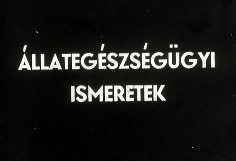 Állategészségügyi ismeretek