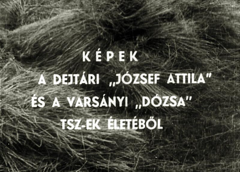 Képek a dejtári 