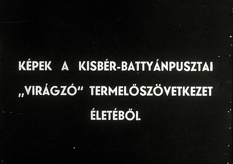 Képek a Kisbér - battyánpusztai 