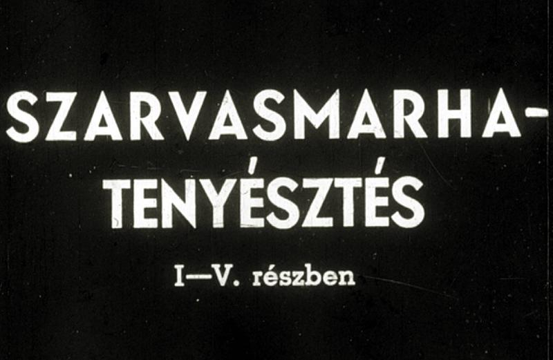 Szarvasmarha - tenyésztés II. Tenyésztési eljárások