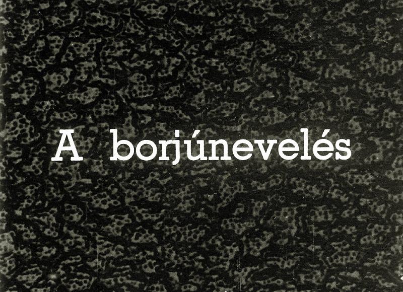 A borjúnevelés