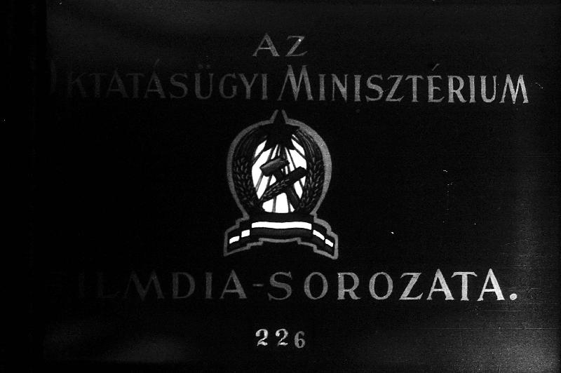 Rádió