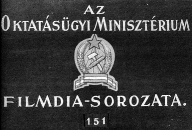 Emelővillás villamos targonca