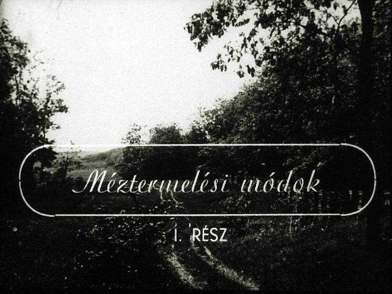 Méztermelési módok I.