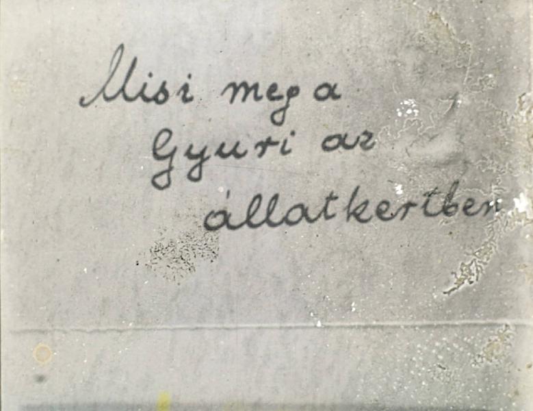 Misi és Gyuri az állatkertben + Gyurkáék kalandja + Misi levelet kap + Misi, Gyuri nyaralása