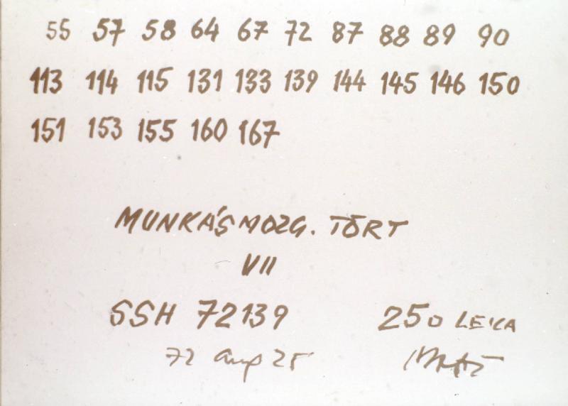 Munkásmozgalomtörténet VII.