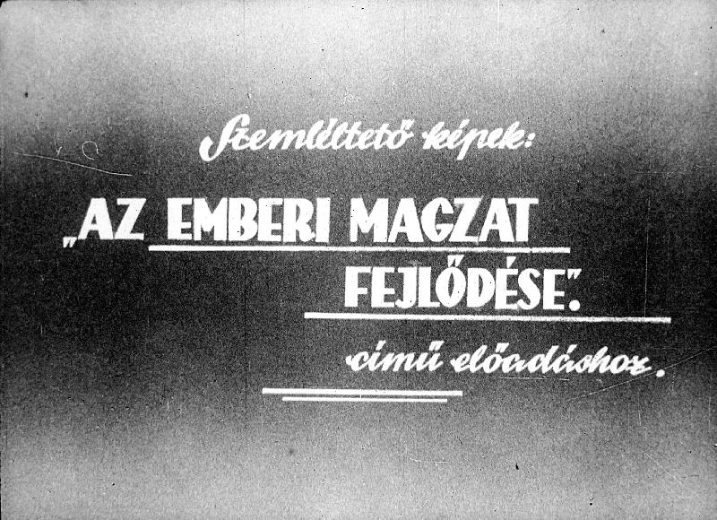 Az emberi magzat fejlődése