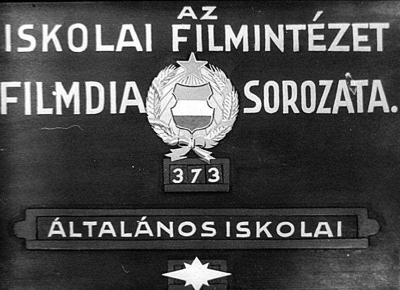 Háziállataink : Alsótagozati sorozat