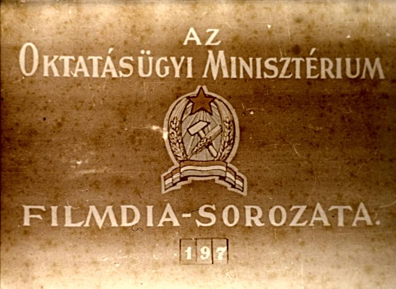A méhen belüli fejlődés  V. : Ember szervezete sorozat 25