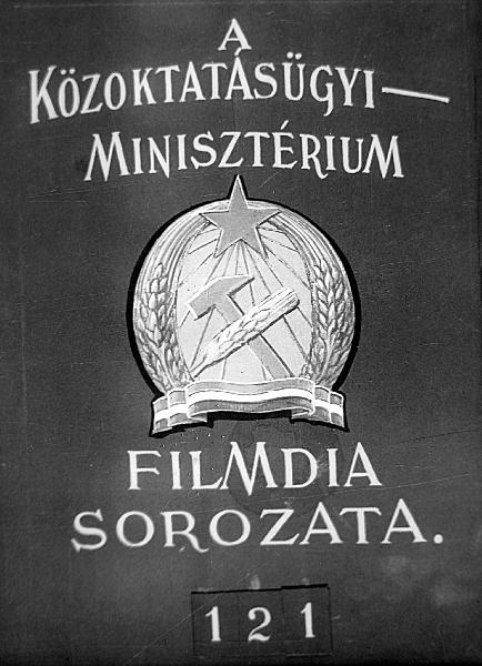 A magyar könyvtár története Corvinatol a 3000. népkönyvtárig