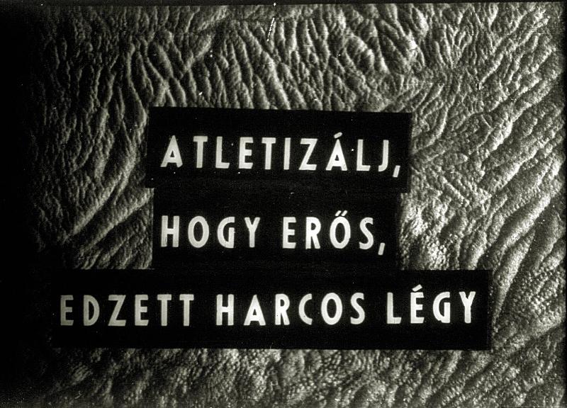 Atlétizálj, hogy erős, edzett harcos légy I.