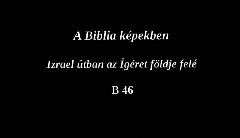 A Biblia képekben : Izrael útban az Ígéret földje felé
