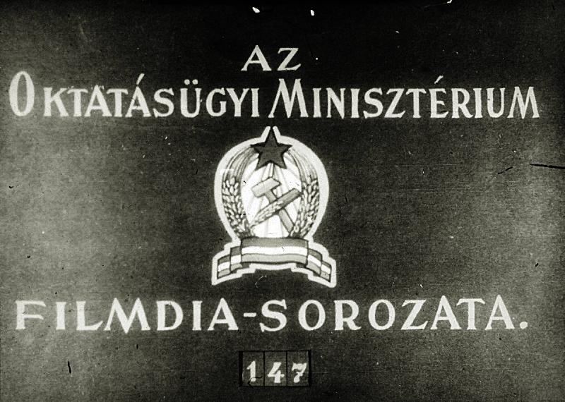 Halgazdaság